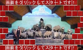 アグロドーム・シープショーの紹介ページへ移動します